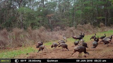 48 Acres Minnow Farm Rd, Quitman, GA 31643 - photo 2