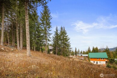 321 Innsbruck Dr, Snoqualmie Pass, WA 98068 - photo 6