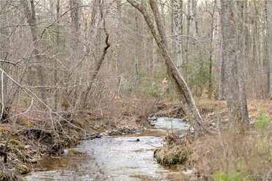 21474 Cool Water Dr, Ruther Glen, VA 22546 - photo 3