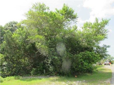 304 NW 9th St unit Nw, Carrabelle, FL 32322 - photo 5