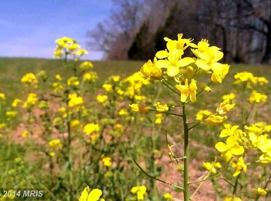 1 Scott Ln, Unknown, VA 00000 - photo 6