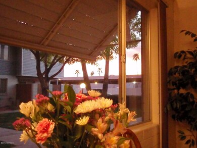 View from Inside
