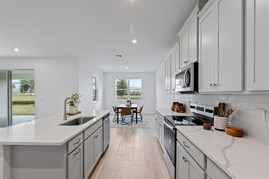 3496 Douglas Fir Dr, Apopka, FL 32703 - photo 6