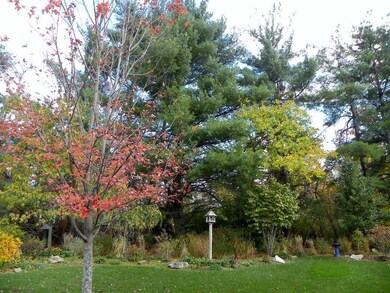 A7_rear yard