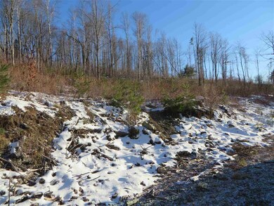 0 Hurlburt Hill unit 4844107, Waterford, VT 05819 - photo 5