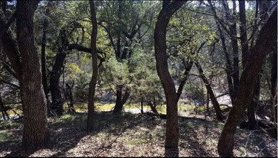 1425 Corona Dr, Granbury, TX 76048 - photo 6