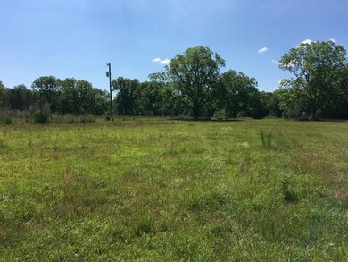 88.2 acr Ione Rd, Pavo, GA 31778 - photo 5