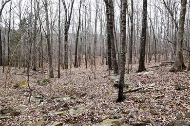 0 Madison 5548, Valley Township, AR 72727 - photo 7