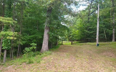Additional View