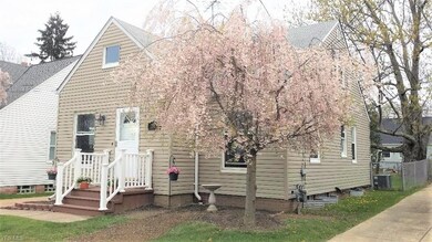 Manicured Front Yard & Beautiful Weeping Cherry!