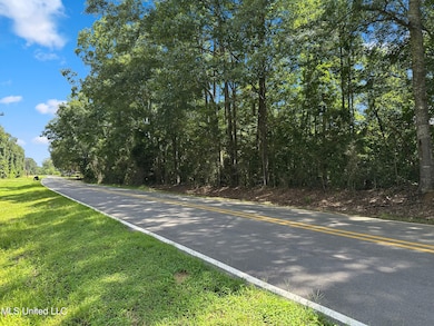 0 Antioch Shiloh Rd, Pelahatchie, MS 39145 - photo 6