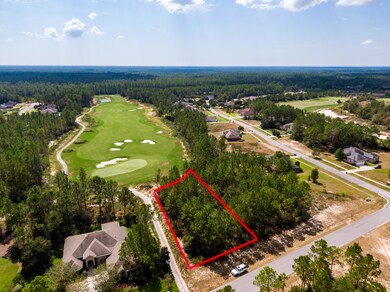 15 Brushed Dune Circle Aerial-9