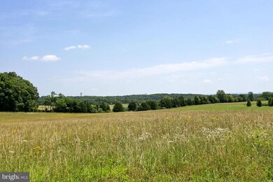 52 Wayside Mill Ln, Middletown, VA 22645 - photo 5