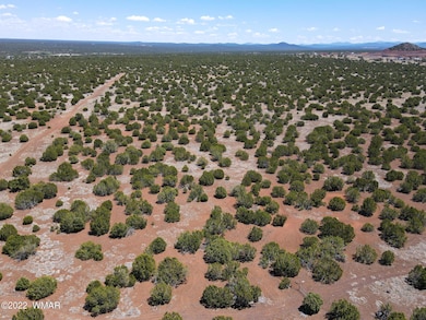 8519 Powell Ln, Show Low, AZ 85901 - photo 3