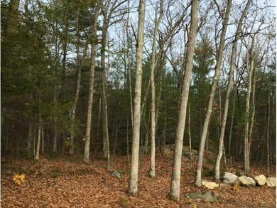 Back Yard.