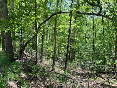 0 Hwy 163 unit 1512095, Calhoun, TN 37309 - photo 4