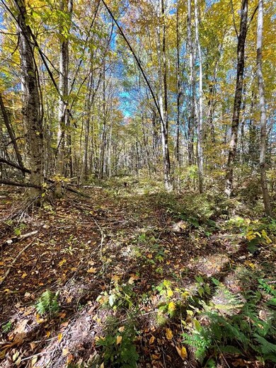 1010 Fellows Rd, Guildhall, VT 05905 - photo 3