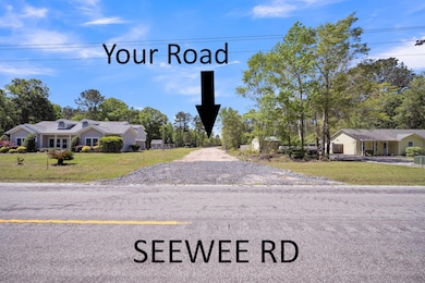 5646 Giddyup Ln, Awendaw, SC 29429 - photo 4