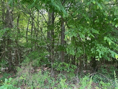 View of nature