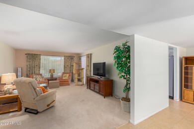 9503 W Appaloosa Dr, Sun City, AZ 85373 - photo 5