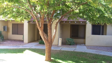 Green Grass & Mature Trees