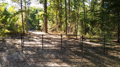 000 Cr 4330, Larue, TX 75770 - photo 7