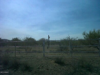 Saguaro Cactus and Pipe Fencing