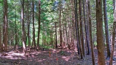 possible home site