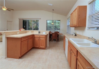 1283 W Diamond Shore Loop, Hernando, FL 34442 - photo 6