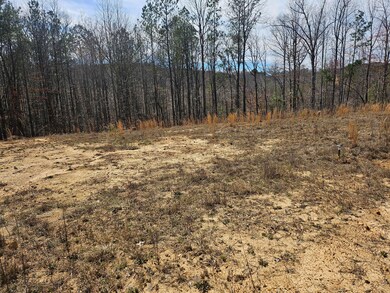 LOT 61 Shoreside at Sipsey, Houston, AL 35572 - photo 5