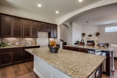 25831 Berberis, San Antonio, TX 78261 - photo 3