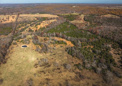 DJI_20241116120436_0518_D
