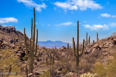 14930 N Cush Canyon Place unit 112, Marana, AZ 85658 - photo 6