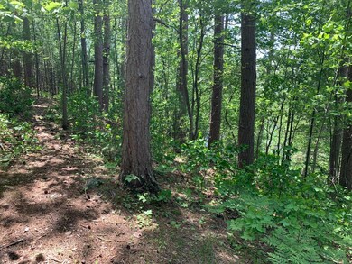 Lot 2 McCarthy Lake Rd, Tomahawk, WI 54487 - photo 5