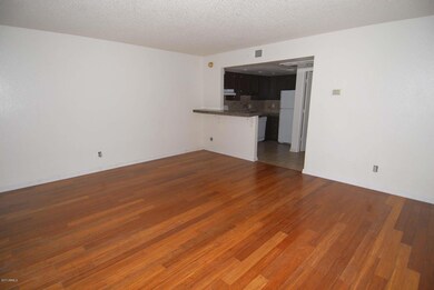 700 W University Dr unit 151, Tempe, AZ 85281 - photo 3