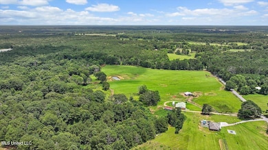 0 James Boyakin Barnett Rd, Mendenhall, MS 39114 - photo 3