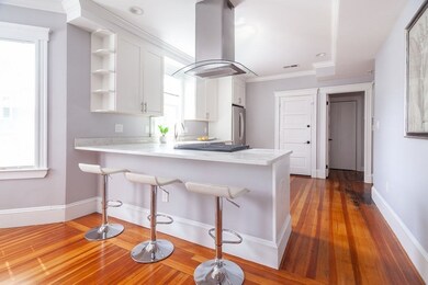 32 Standish St unit 2, Cambridge, MA 02138 - photo 3