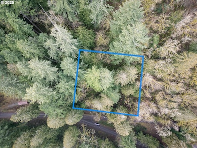 000 Serne Rd, Estacada, OR 97023 - photo 2