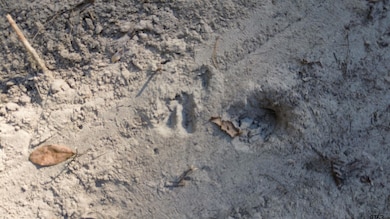 000 County Road 4330, Larue, TX 75770 - photo 4