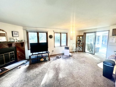 7481 Michigan 37, Baldwin, MI 49304 - photo 3