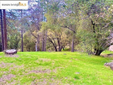 19703 Cottonwood St, Groveland, CA 95321 - photo 4