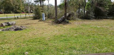 0 Pinecrest Dr, Crawfordville, FL 32327 - photo 5