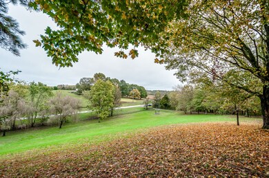 Front yard and driveway to the right