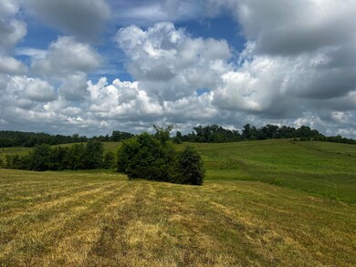 IMG_6932