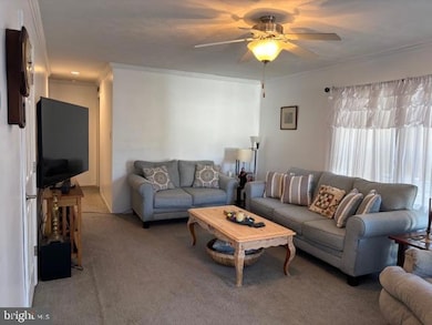 31706 Janice Rd, Lewes, DE 19958 - photo 7