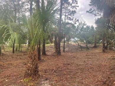 764 E Pine Ave unit 4, St. George Island, FL 32328 - photo 7