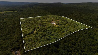 52079 Blemmel Rd, Talihina, OK 74571 - photo 5