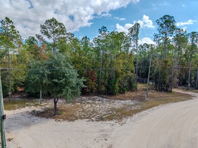 LOT 61 NE 899th St, Old Town, FL 32680 - photo 4