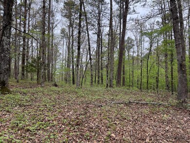 40 Trout Creek Rd, Watson, OK 74963 - photo 7