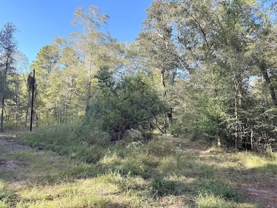 2080 County Road 1100, Woodville, TX 75979 - photo 5